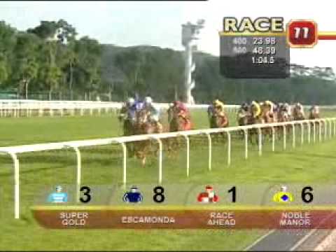 EMIRATES SINGAPORE DERBY 11/07/10 - RACE AHEAD