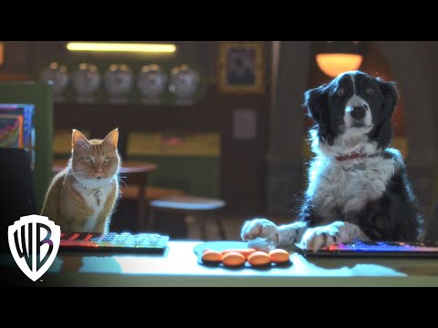 Kediler ve Köpekler 3: Pençeler Birleşin! | Fragman | Warner Bros. Entertainment