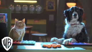 Cats & Dogs 3: Paws Unite!  Trailer  Warner Br