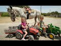 Using tractors and hay to feed horses on the farm | Horses for kids