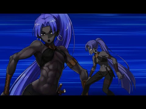 FGO Assassin Hassan of the Hundred Faces Noble Phantasm Animation Stage 2nd Second Ascension NP