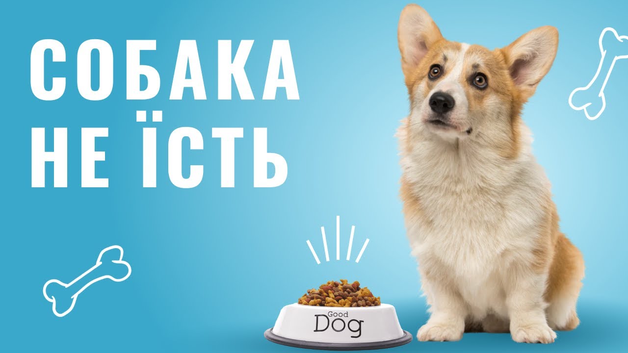 YouTube video preview