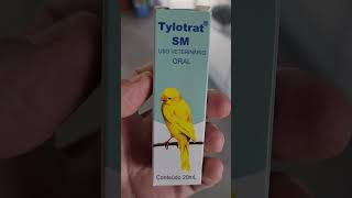 Tylotrat Tilotrat