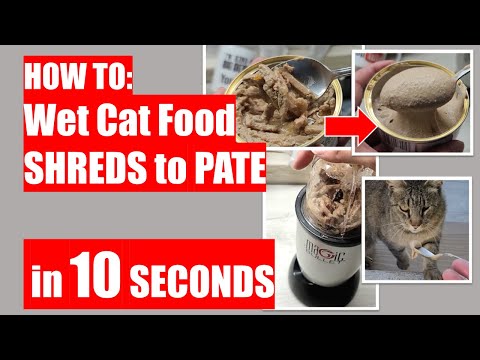 HOW TO: Wet Cat Food from SHREDS to PATE in 10 Seconds - For picky cats who ONLY like PATE.