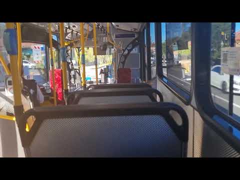 Transit Systems Sydney 2619 ST - Scania K280UB (ZF Ecolife)