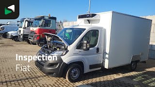 بيع شاحنة مقفلة < 3.5طن FIAT Ducato 160PK Koelwagen Vries Carrier Xarios 350 Stekker 220V Koe - صورة 4 | Autoline AE شاحنة مقفلة < 3.5طن FIAT Ducato 160PK Koelwagen Vries Carrier Xarios 350 Stekker 220V Koe | صورة 4 - Autoline