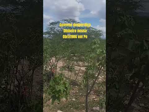 Projeto de irrigação no Vale do MOXOTÓ em Ibimirim Pernambuco total abandono grande descaso