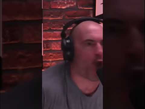 “White people don’t have enough melanin in there skin” @JordanBPeterson @joerogan #shorts