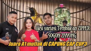 Download lagu aksi tembakan zipper witwit ZIYYONG Sogon gacoan khoirul anam SSS Sukorejo juara satu di CCC3 TSBC mp3