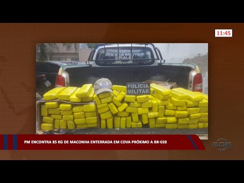 PM encontra 85 kg de maconha enterrada em cova próximo à BR-020 16 02 2023