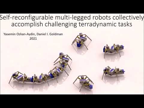 Simple Linking of Units Gives Legged Robots New Way to Navigate Difficult Terrain