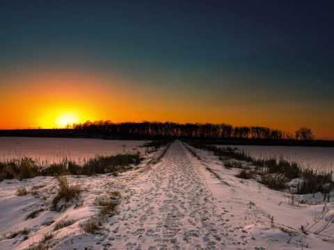 Offertory `Tantum ergo` for chorus and orchestra (1775) KV197 (Anh.186e/C 3.05) - Mozart