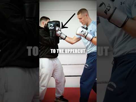 How to Land Every Shot to the Liver…