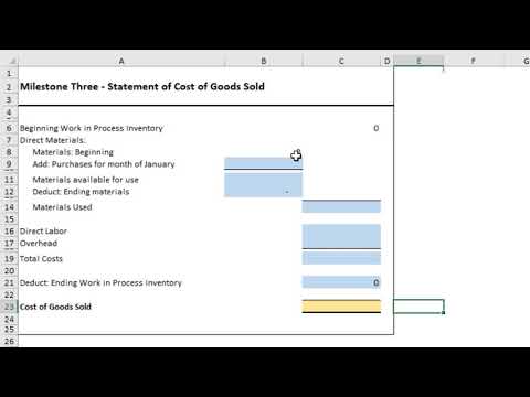 Acc 202 Project Cogs
