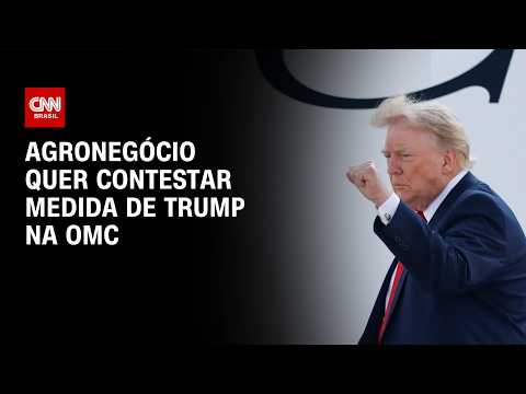 Empresas do agro correm contra o tempo para atenuar custo de tarifa dos EUA  | LIVE CNN
