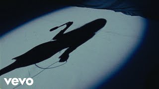 Jessie Murph - No Chance (Visualizer)