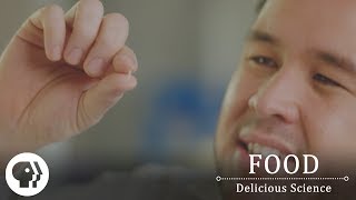 FOOD - DELICIOUS SCIENCE | The Food That Powers Half The Planet