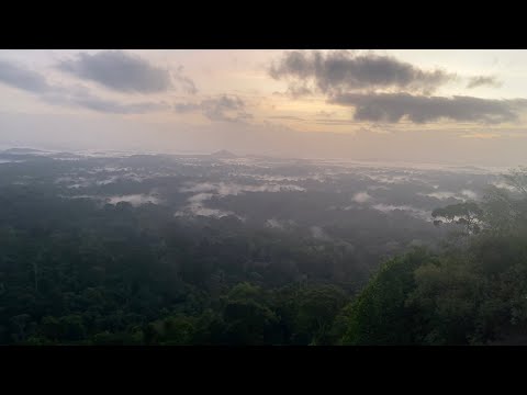 Waking up early on top of the Surinam jungle