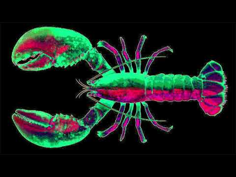 TONE OF ARC - LOBSTER MIX