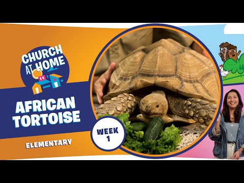 Church at Home | Elementary | In the Beginning Week 1 - January 3/4