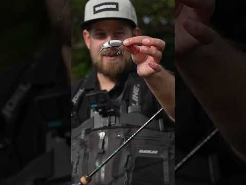 LIVE BISS auf Mini-Swimbait #subsurface