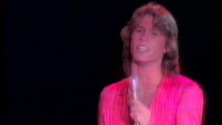 Andy Gibb - Too many looks in your eyes