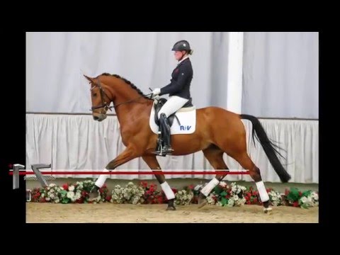 17 Florian Meyer  Wallach v.  Friedensritter - Weltmeyer