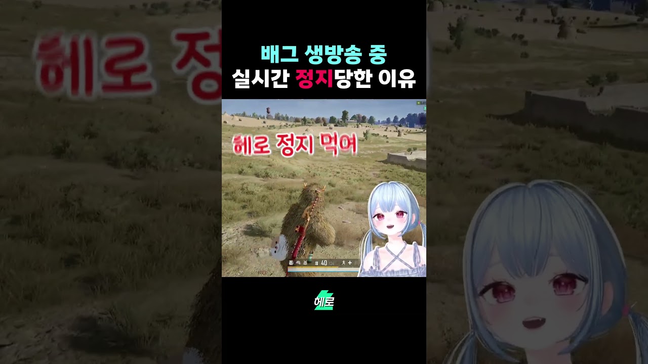 배그 생방송 중 실시간 정지, 원인은 무엇일까