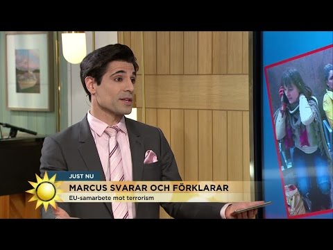 Marcus Oscarsson: "För mycket byråkrati i EU" - Nyhetsmorgon (TV4)