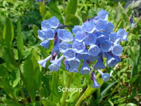 Dmitry Kabalevsky: Childrens' Music (15 Pieces for Piano)