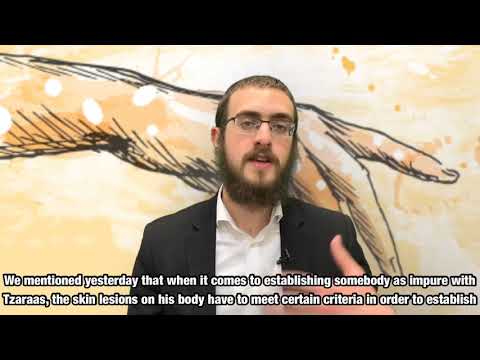 Don’t Destroy the Evidence