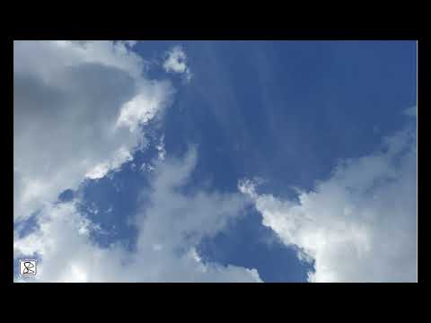 Sihinaye Mal Pipi   Edward Jayakodi