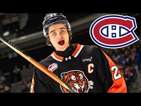 DAS IST WAHNSINN (Bryce Pickford)