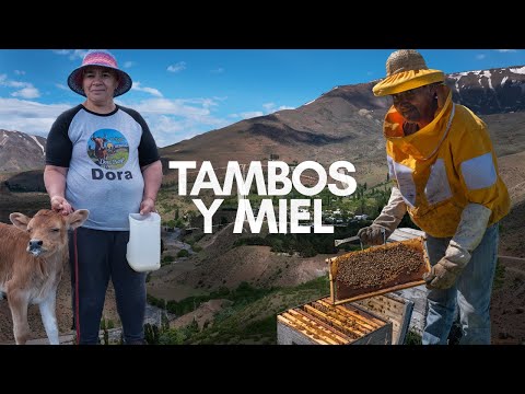 Descubriendo el norte de Neuquén: hoteles, miel artesanal y vinos