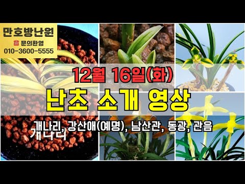 유튜브 썸네일