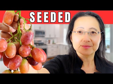 Top 10 Immune Boosting Foods You Must Eat