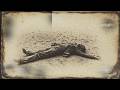 🔍😱 New Evidences on the Mysterious Death of John Wesley Hardin