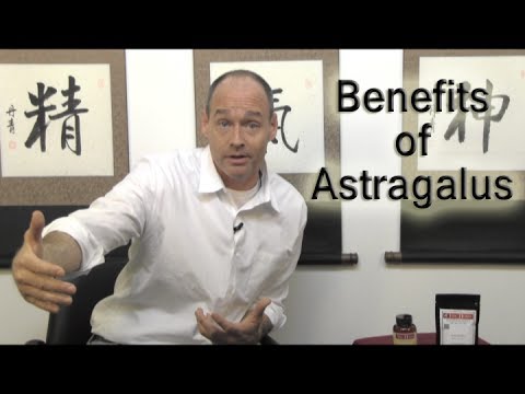 What is astragalus good for?