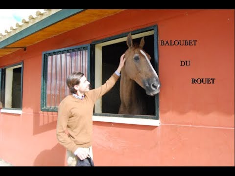 Baloubet du Rouet - Sella Francese 1989 ,  GALOUBET A