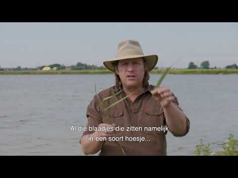 2 Met alle winden mee