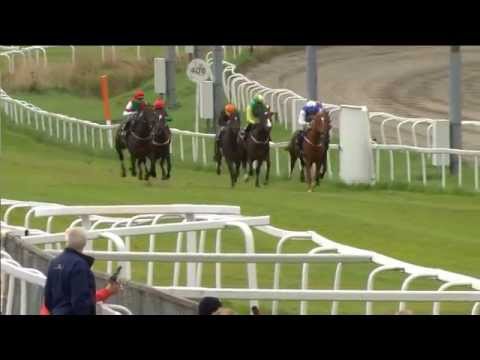 2014.09.24 Tattersalls Norsk Kriterium - Taja