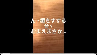 過酷なダイエット開始まであと39日。116キロの男、グルメをしながらできるあるダイエット方法を思いつく。
