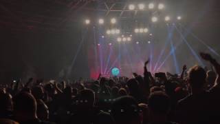 Palmen aus Plastik Tour Berlin - Dankbarkeit