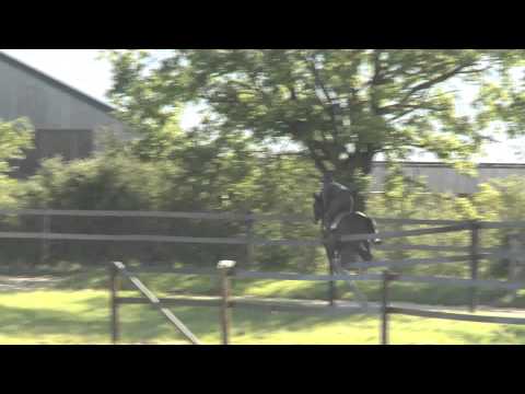 Lot 2 - Oriantal - F13 - Khalkevi /Oratoriane