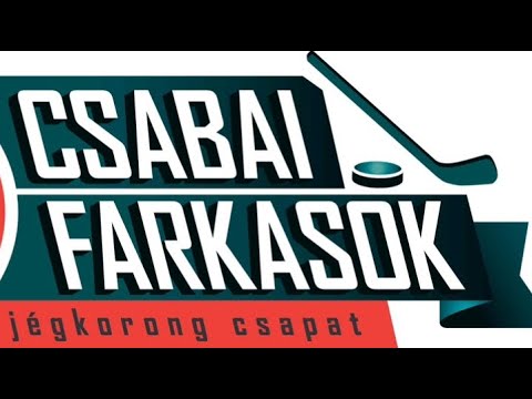 Csabai Farkasok-Esmtk Érd U12 2023.12.03 1. Félidő