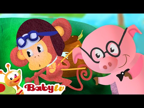 Schildpad - Een huis op zijn rug 🐢🏠 | Leer over dieren | Dieren voor peuters @BabyTVNL