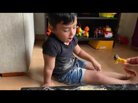 Kanav is Learning Animal Names and playing with toys