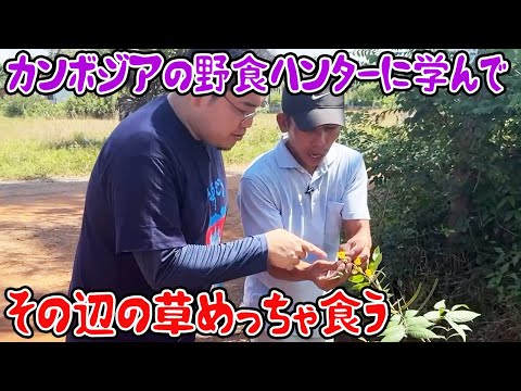 カンボジアの野食ハンターに学んで、その辺の草めっちゃ食う