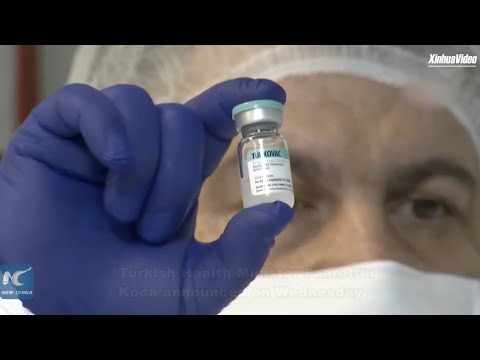 Turkey approves emergency use of domestic COVID-19 vaccine