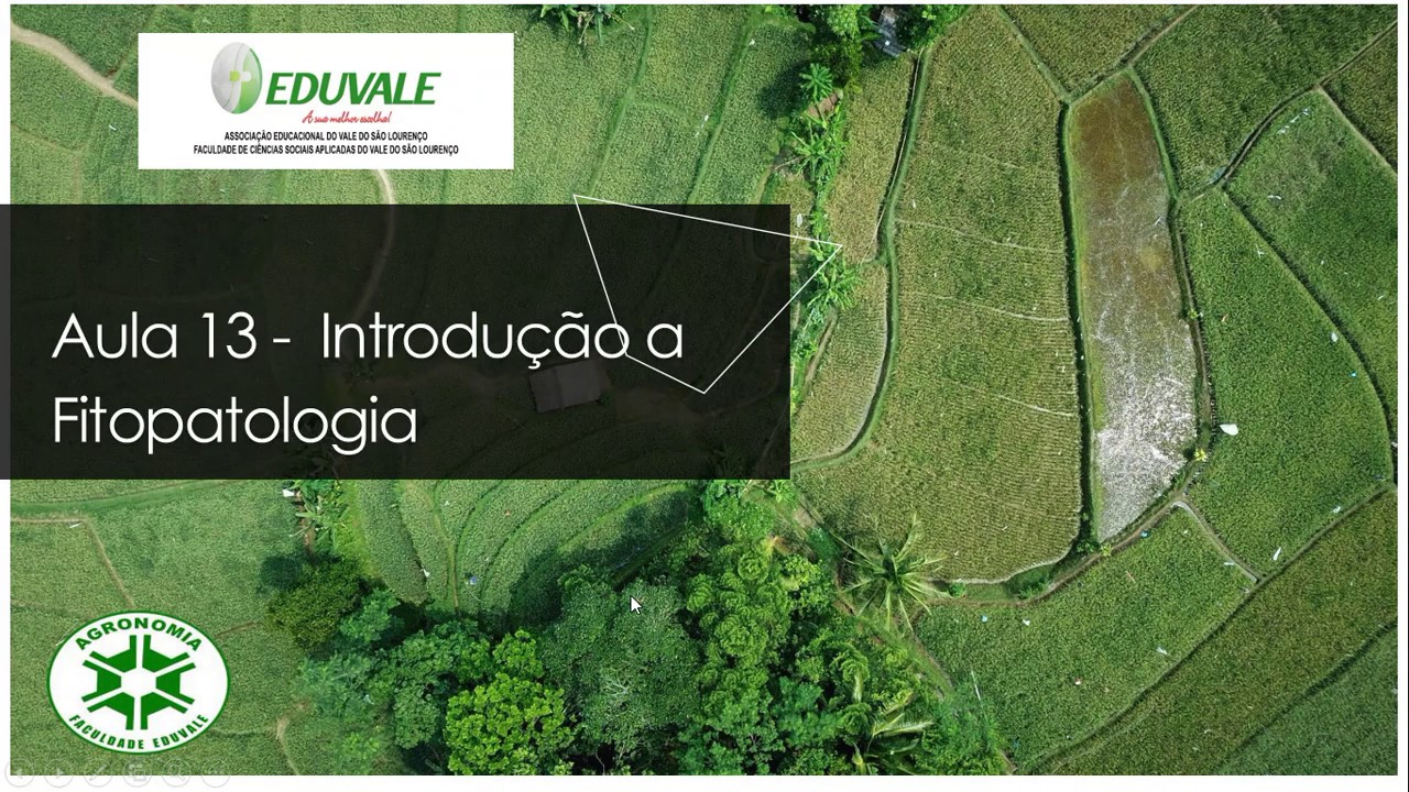Aula 13 Introdução a Fitopatologia Parte 01